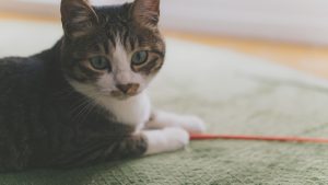 週1回のホットヨガでも成果を出したい！そのためもつべき心構え4つ