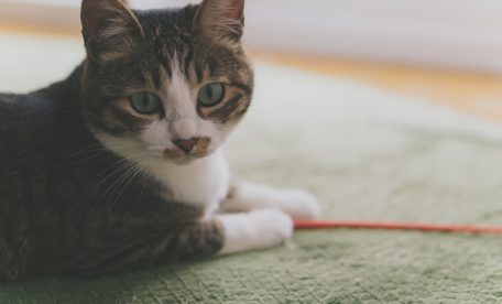 週1回のホットヨガでも成果を出したい!そのためもつべき心構え4つ