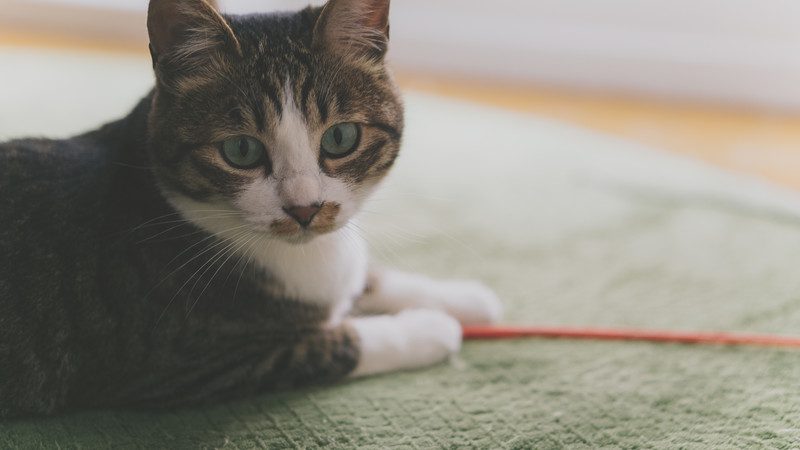 週1回のホットヨガでも成果を出したい!そのためもつべき心構え4つ